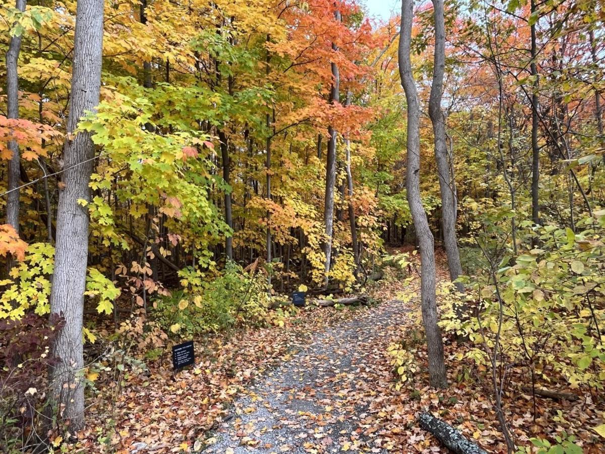 Stunning Stayz At Friday Harbour Beach Marina Resort Lake Simcoe Innisfil エクステリア 写真